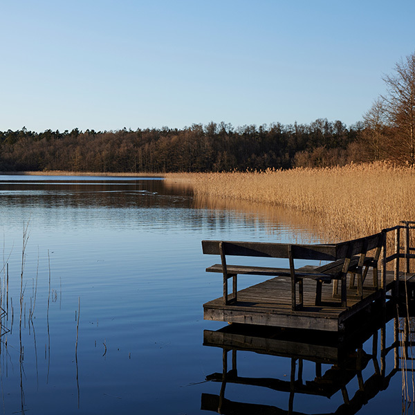 Stimmungsbild eines Sees im Herbst